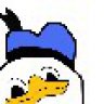 Is Dolan