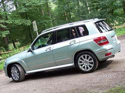 glk2.jpg