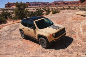 Renegade Desert