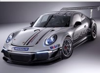 Porsche-911_GT3_Cup_2013_1600x1200_wallpaper_01.jpg