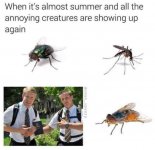 l-27809-when-its-almost-summer-and-all-the-annoying-creatures-are-showing-up-again.jpg