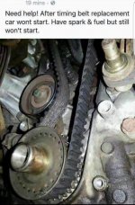 timing belt.jpg