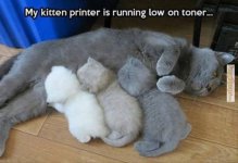 printer.jpg