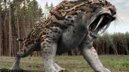 Saber-toothed_tiger_Smilodon_2.jpg