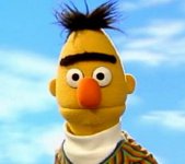 bert-sad.jpg