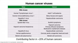 virus cancer .jpg