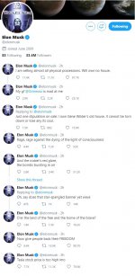 musk.jpg