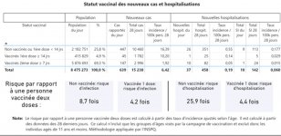 20-210-382W_infographie_sommaire-executif_cr.jpg