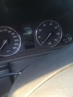 IMG_20230906_073954.jpg