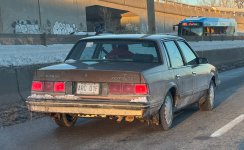 IMG_6575.jpeg