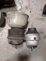 PXL_20250413_184100050.jpg