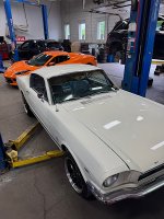 IMG_2093.jpeg