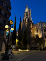 IMG_9989.jpeg IMG_9989.jpeg