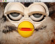 furby.jpg