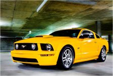 81685d1291819003-2007-mustang-gt-sale-fordcar.jpg