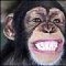 Go apes