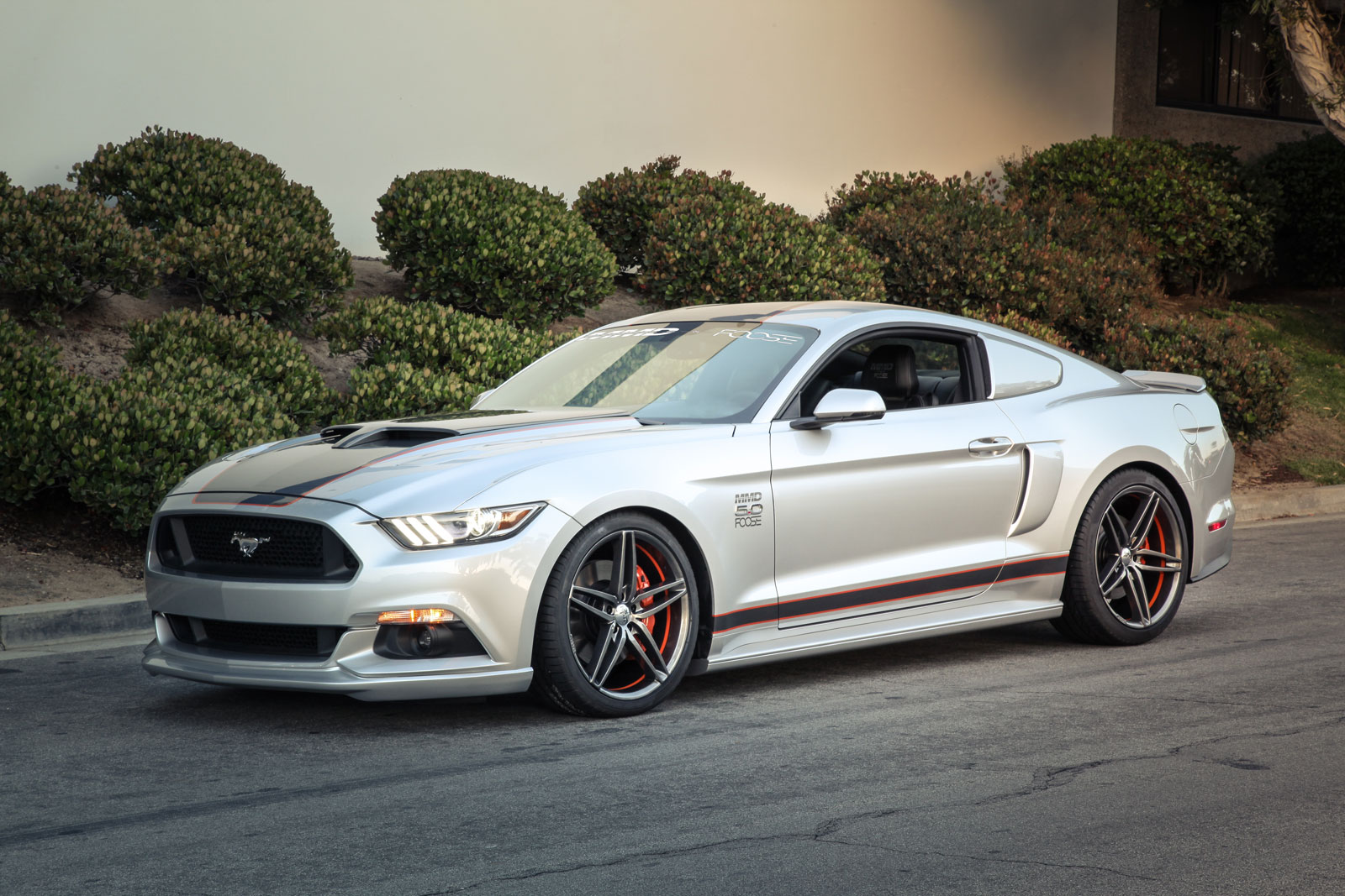 chip foose divorce chip foose divorce