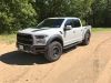 2017raptor02