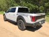 2017raptor04