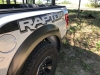 2017raptor07