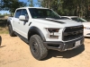 2017raptor08