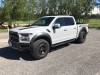 2017raptor09