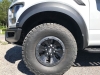 2017raptor12