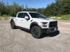 2017raptor16