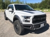2017raptor17