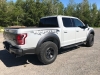 2017raptor19