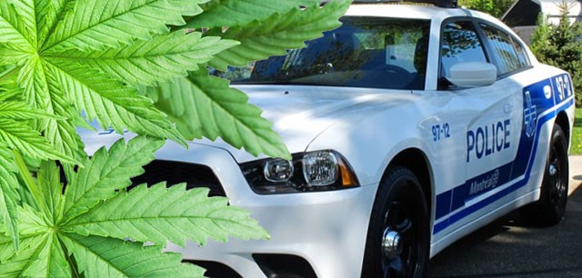 SPVM-cannabis-640x306.jpg