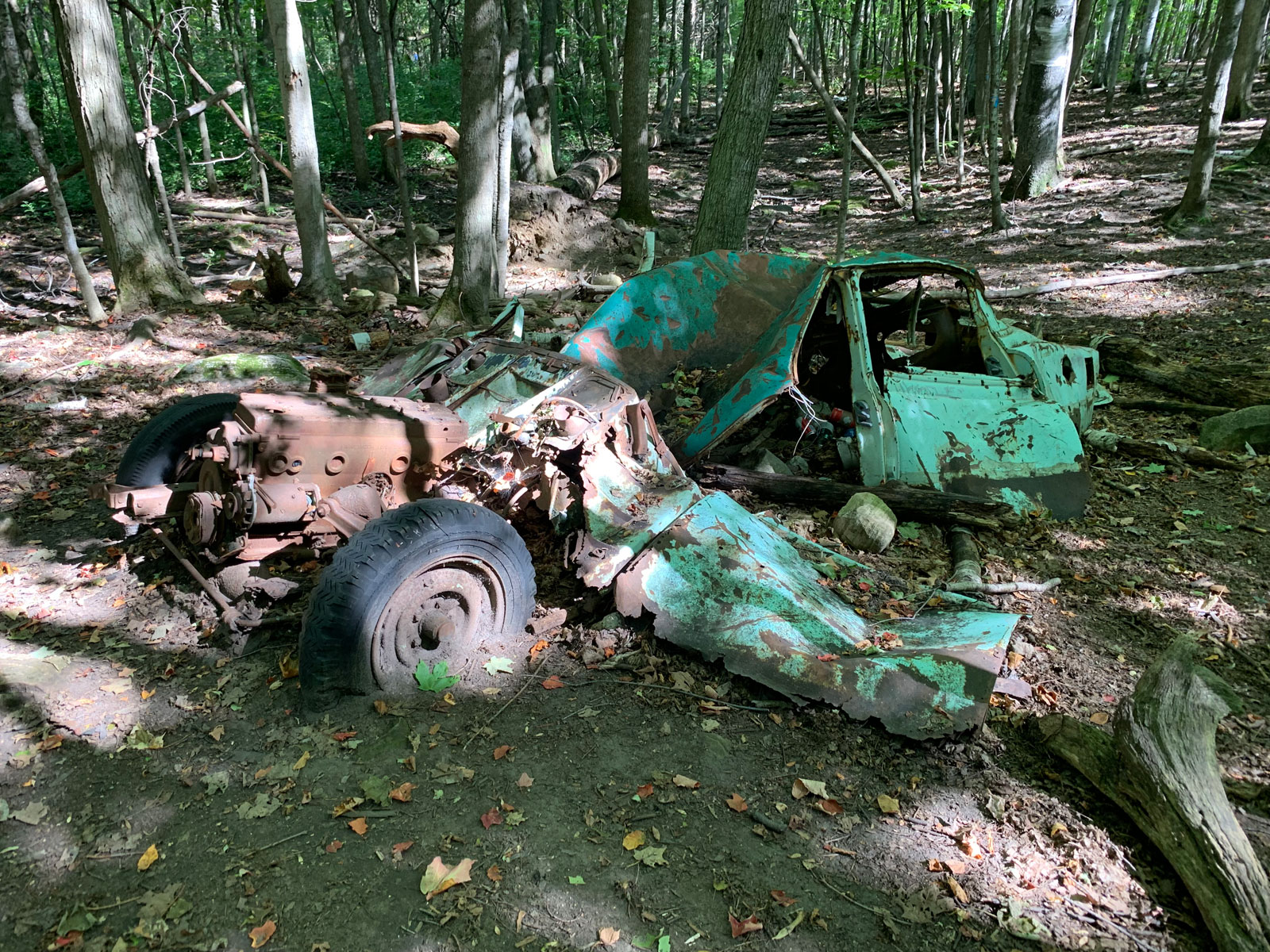 angel_woods_abandoned_car04.jpg