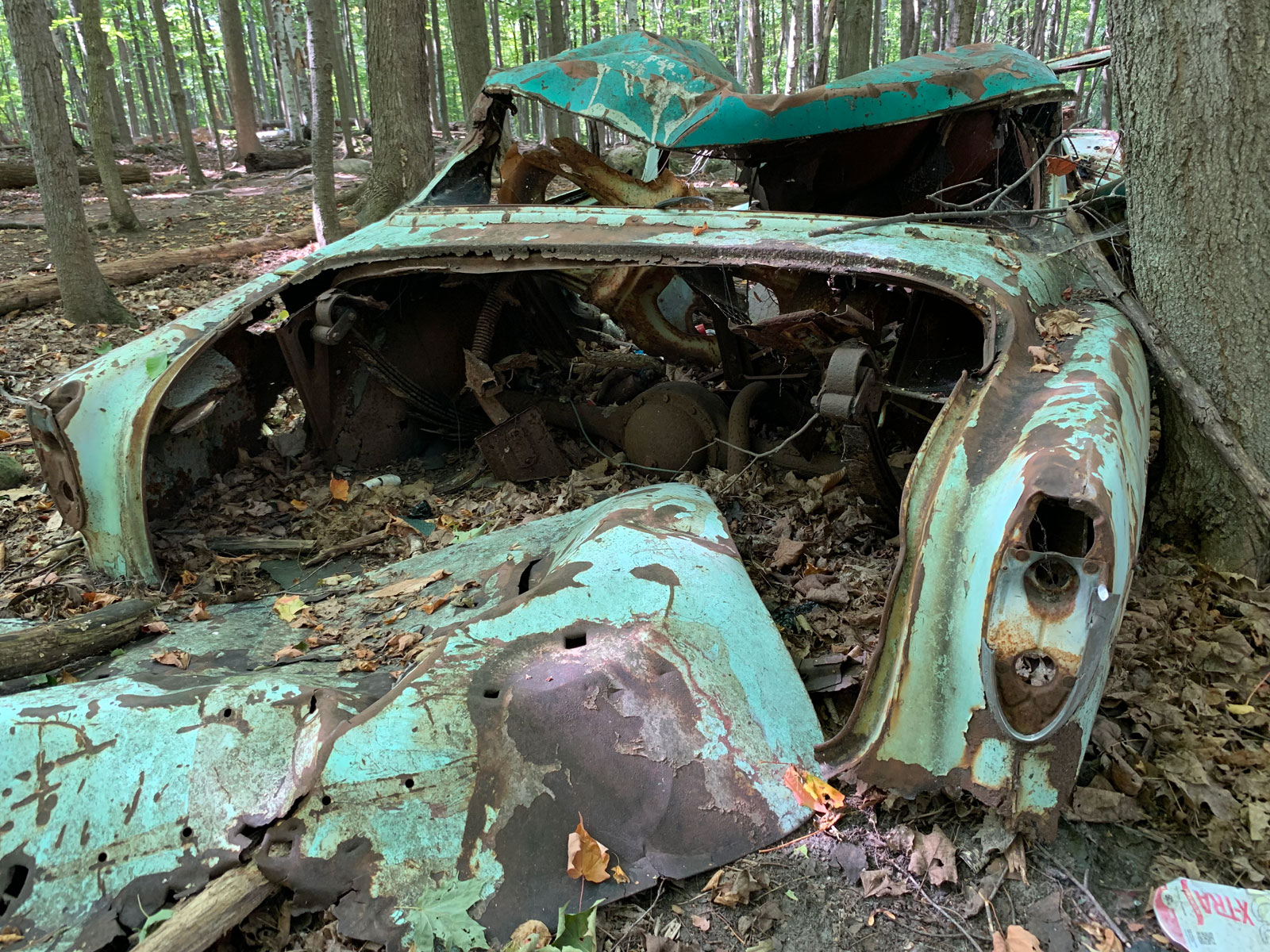 angel_woods_abandoned_car07.jpg