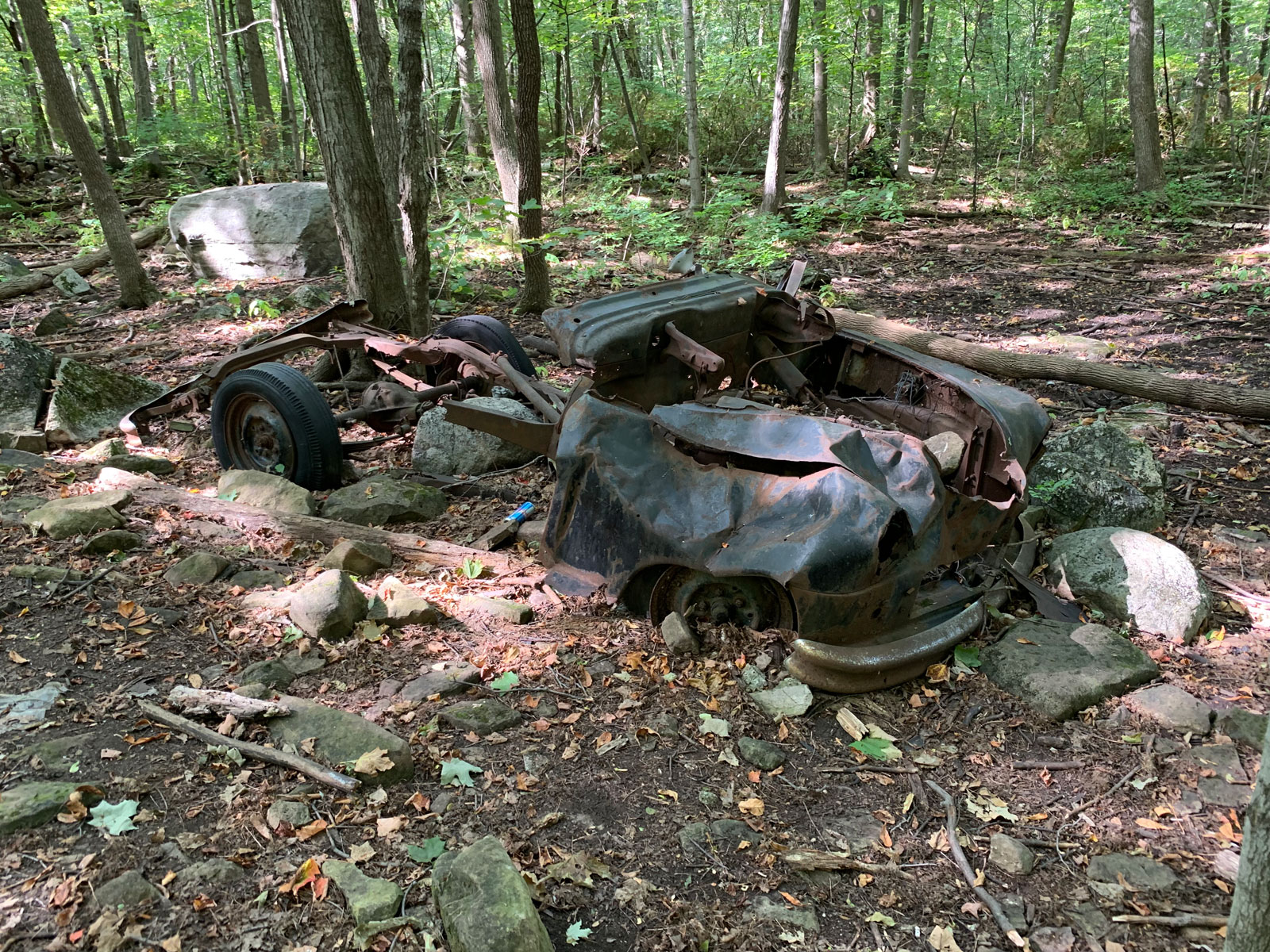 angel_woods_abandoned_car09.jpg