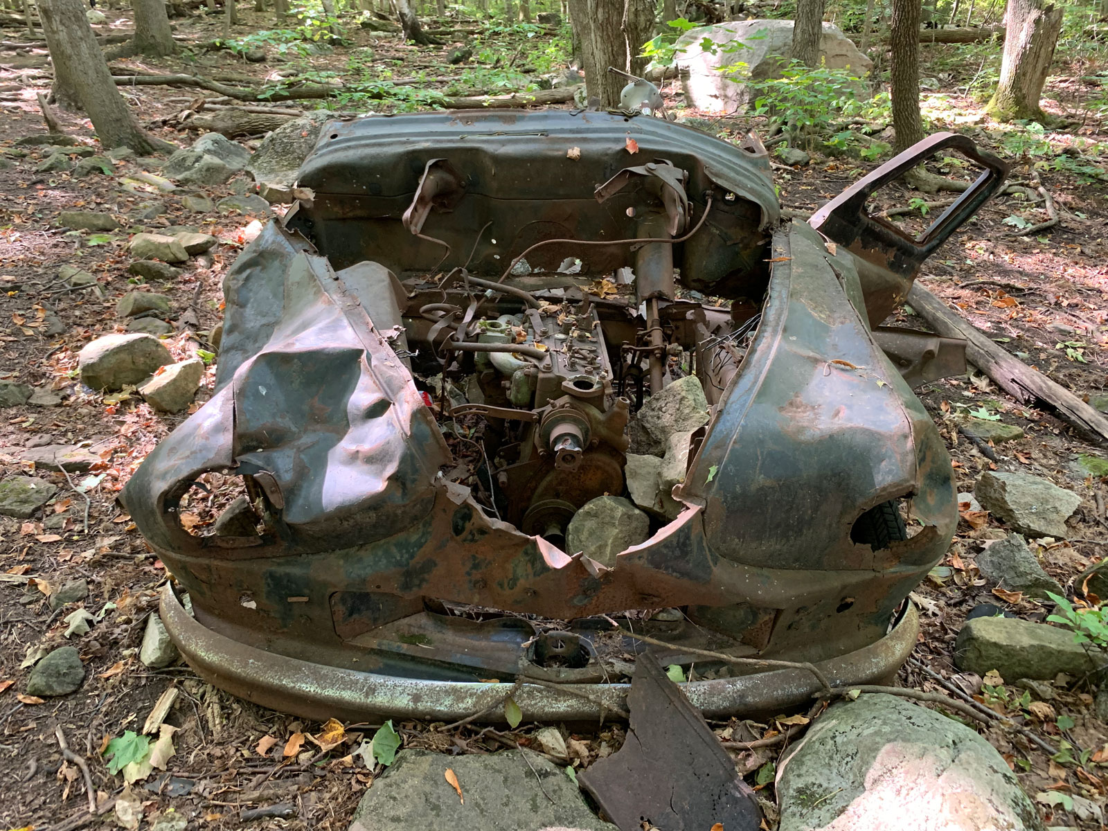 angel_woods_abandoned_car10.jpg