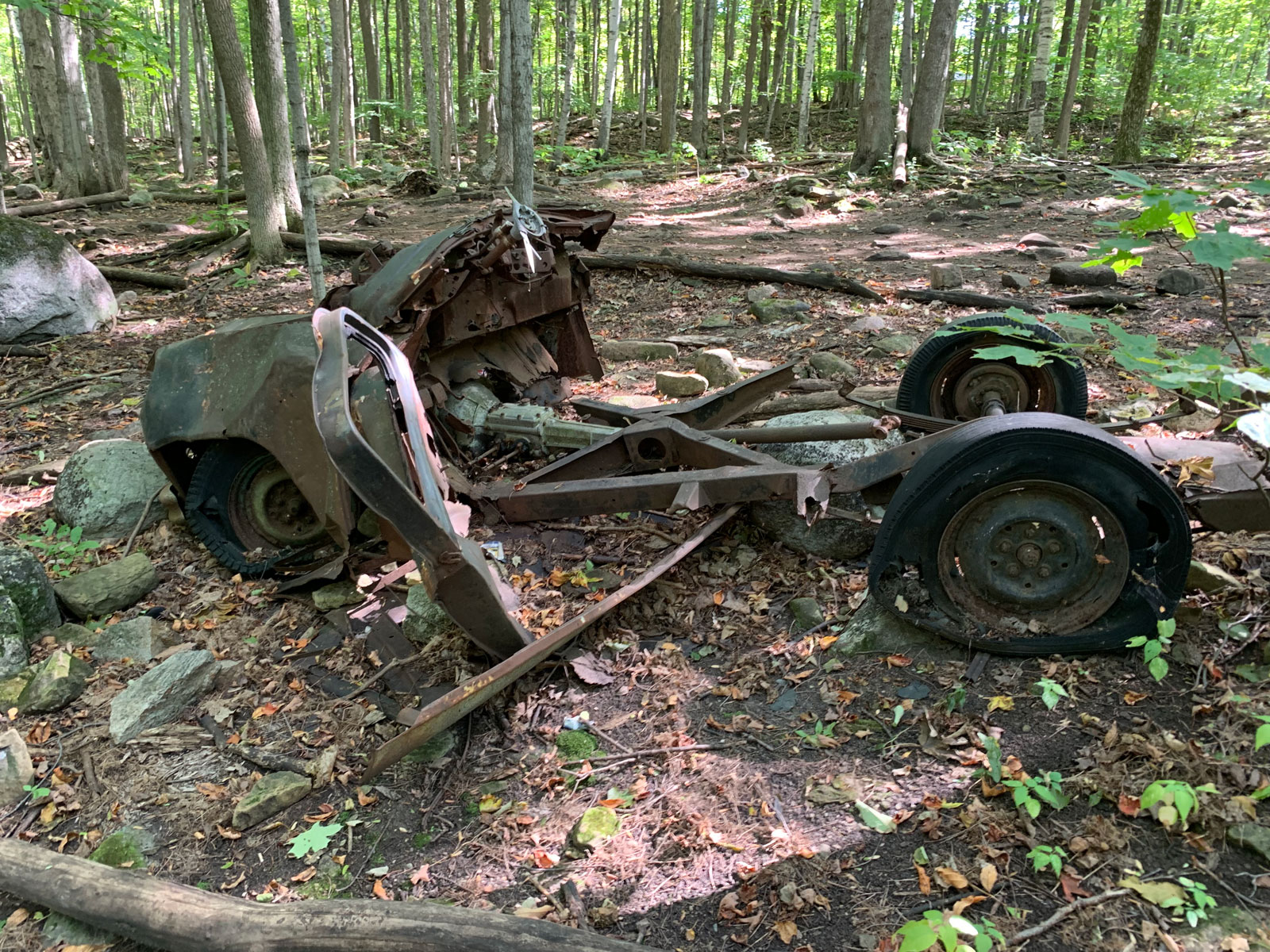 angel_woods_abandoned_car12.jpg