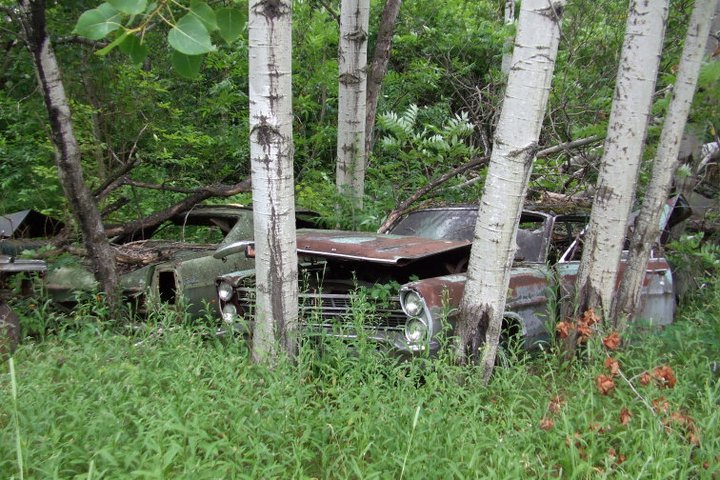 abandoned-racetrack-champion-speedway09.jpg